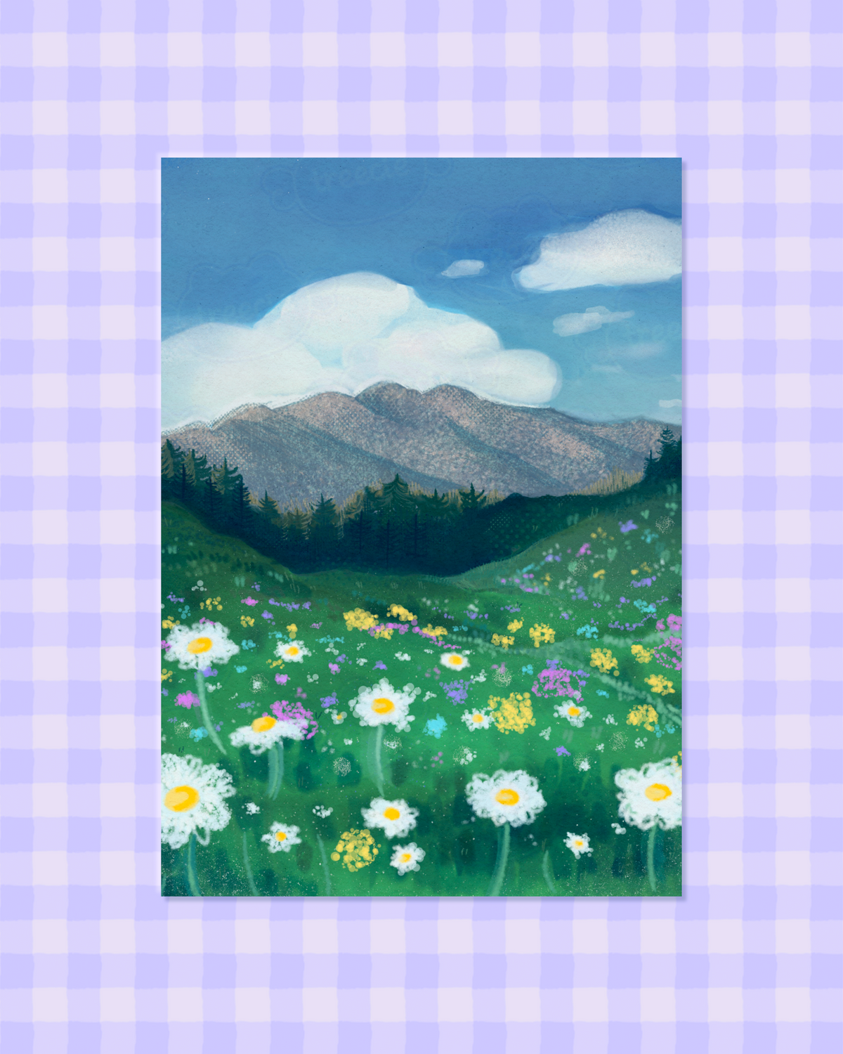 Mountain Daisies Art Print